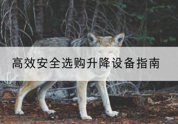 墨竹工卡升降货梯厂家推荐-*安全选购升降设备指南