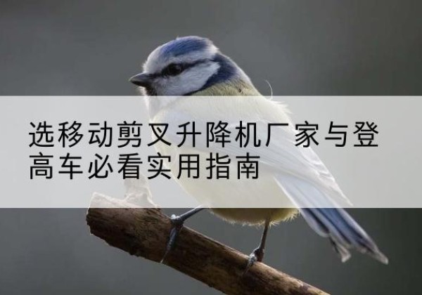 墨竹工卡电动升降机厂家-选移动剪叉升降机厂家与登高车必看实用指南