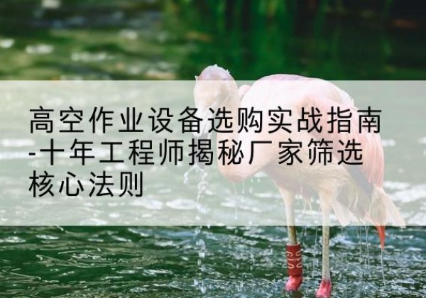 墨竹工卡剪叉式升降机厂家-高空作业设备选购实战指南-十年工程师揭秘厂家筛选核心法则